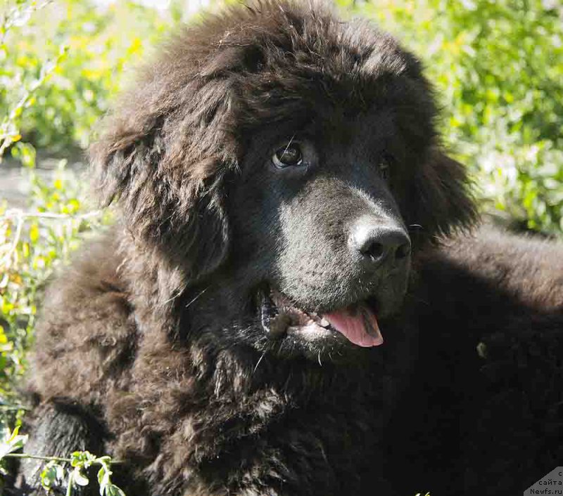 Фотография № 186712