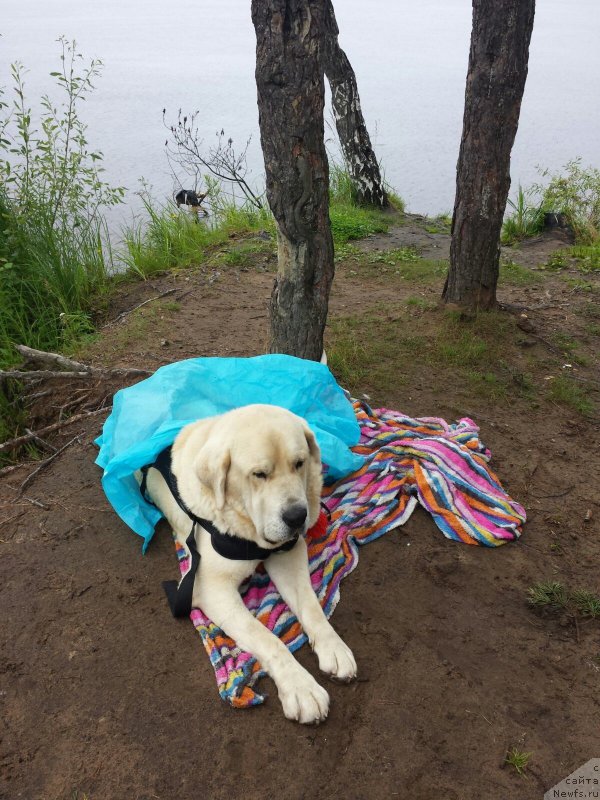 Фотография № 186715