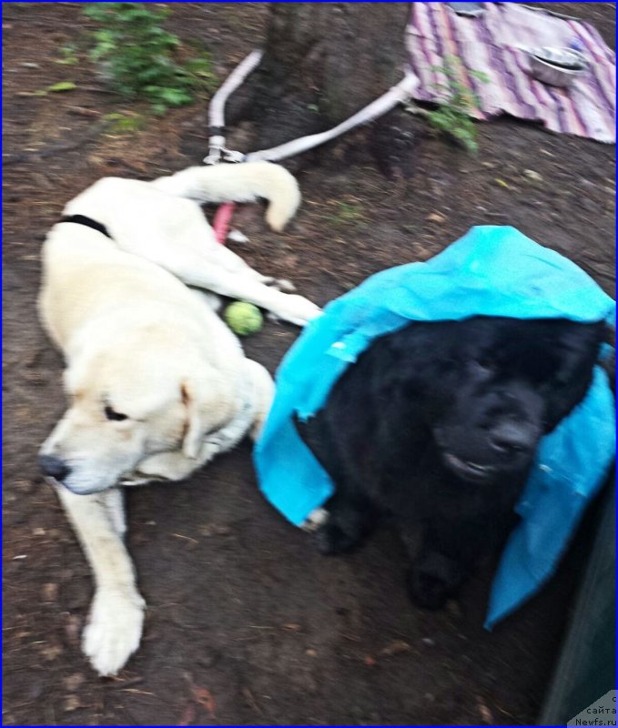 Фотография № 186716