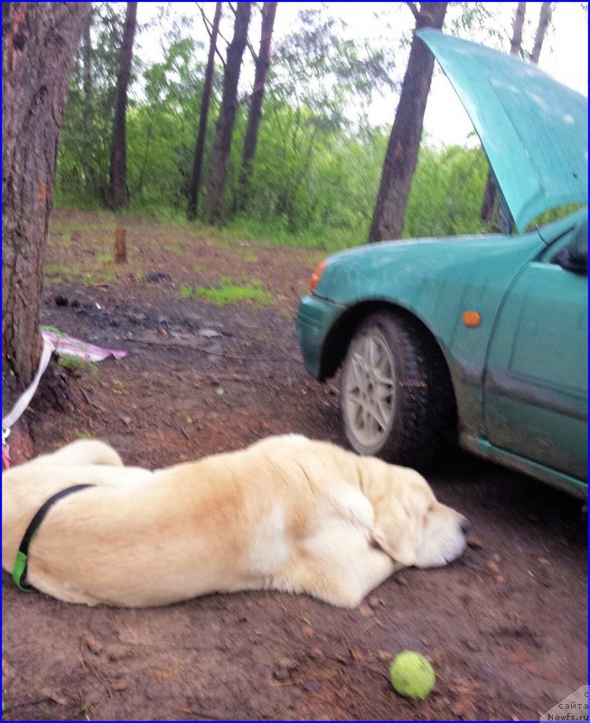 Фотография № 186717