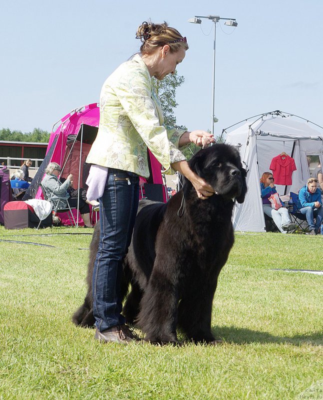 Фотография № 186724