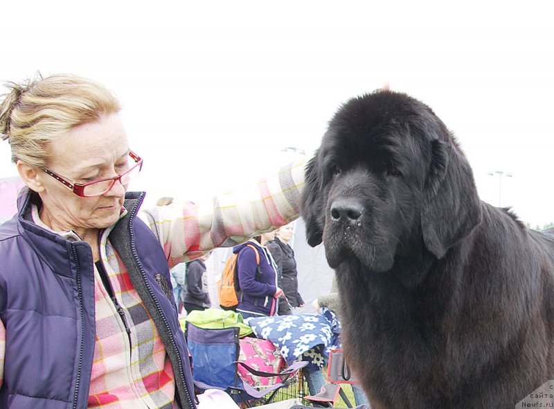 Фотография № 186726