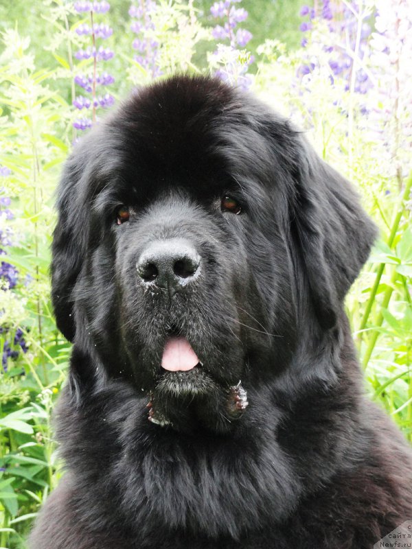 Фотография № 186727