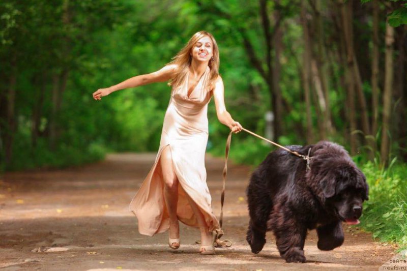 Фотография № 186729