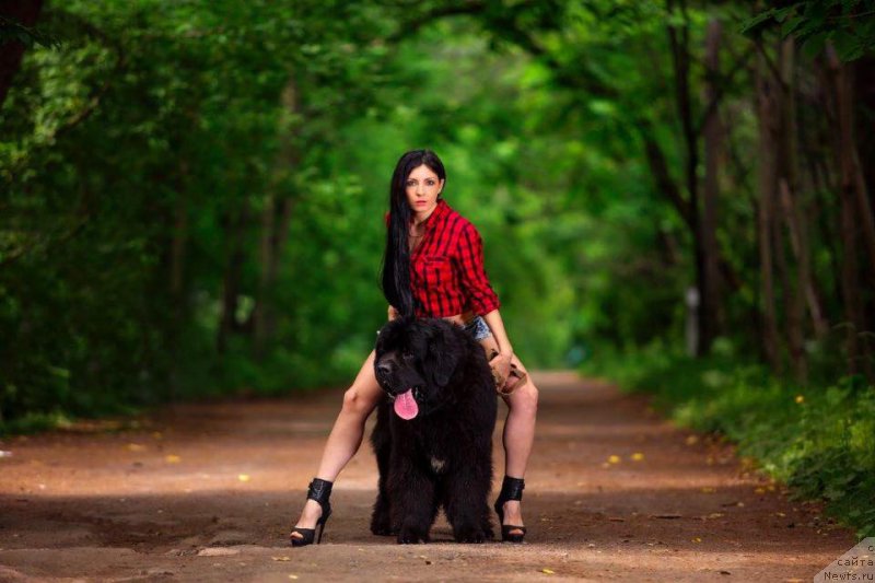 Фотография № 186730