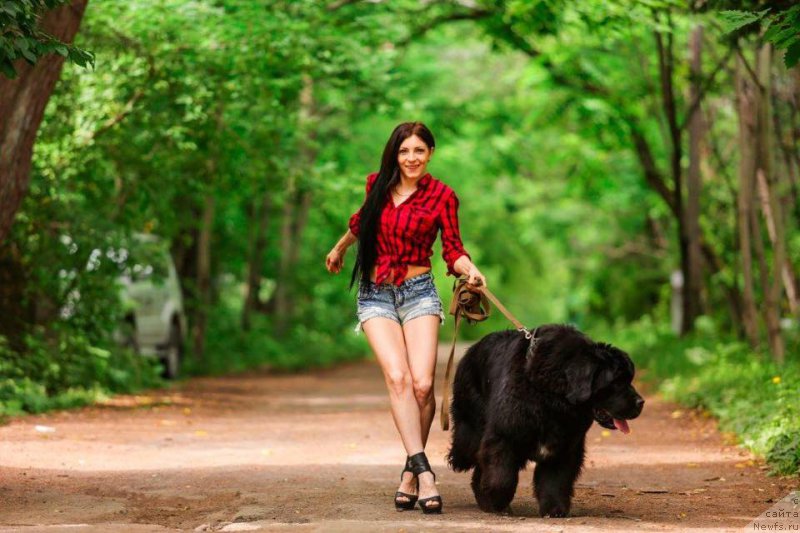 Фотография № 186731