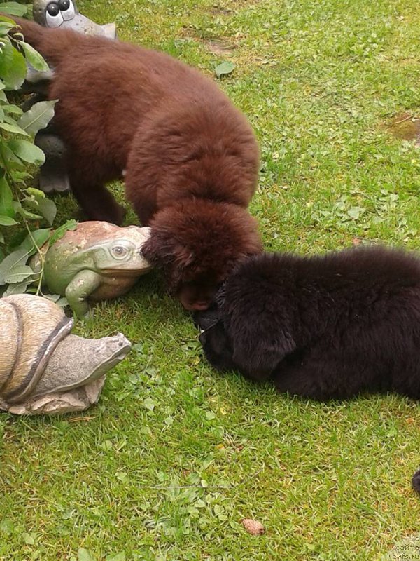 Фотография № 186737