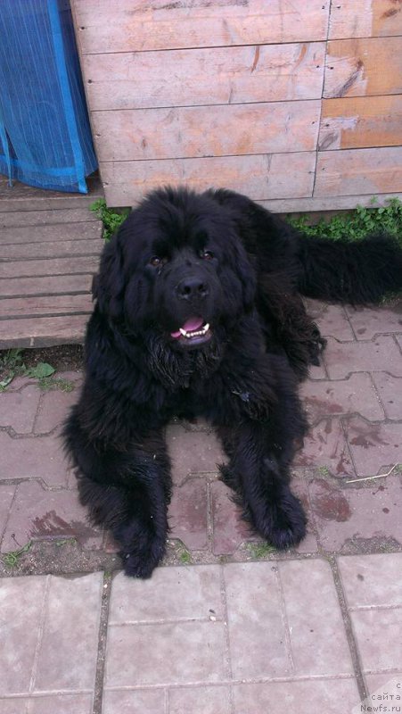 Фотография № 186742