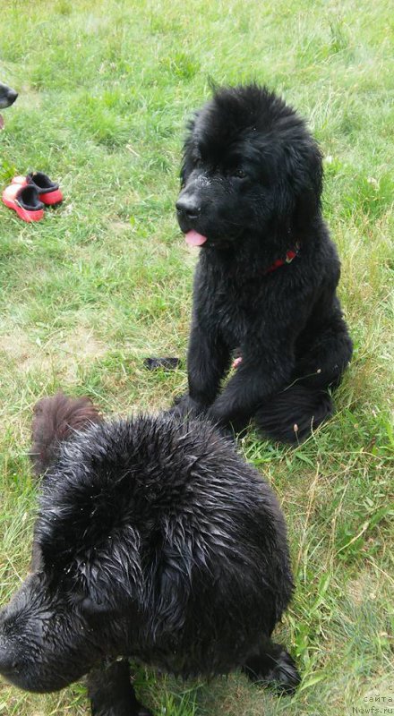 Фотография № 186744