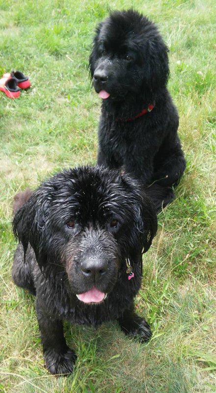 Фотография № 186745