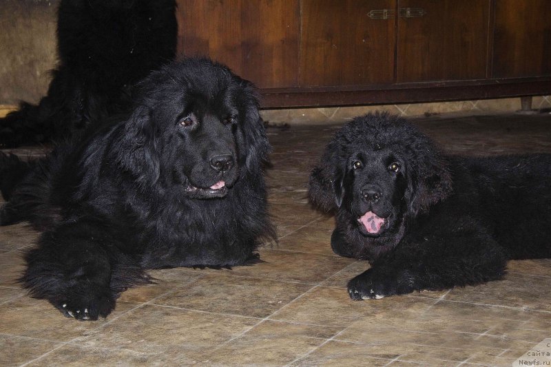 Фотография № 186752