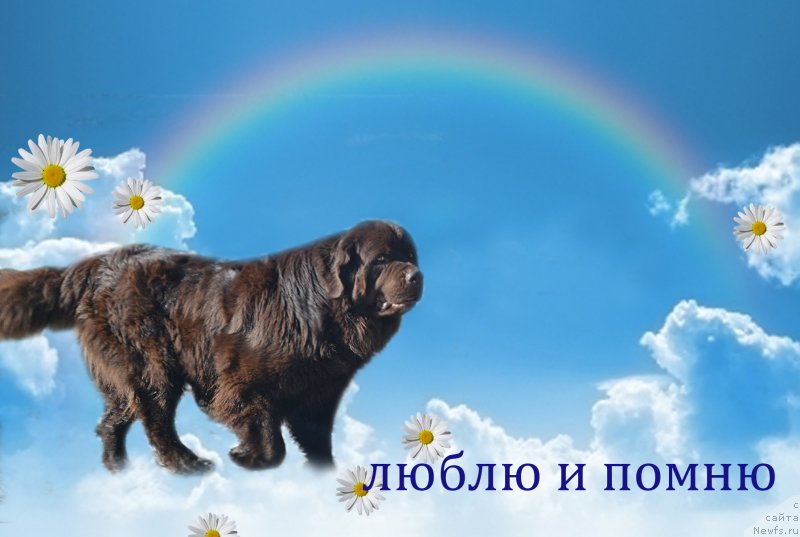 Фотография № 186759