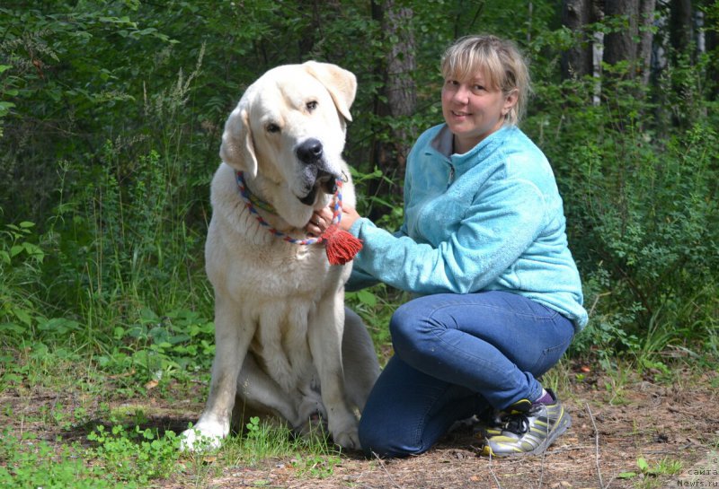 Фотография № 186760