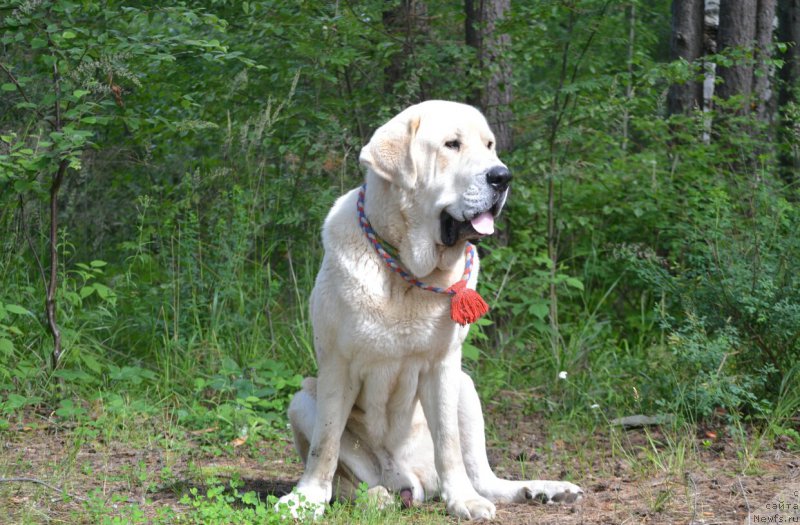 Фотография № 186762