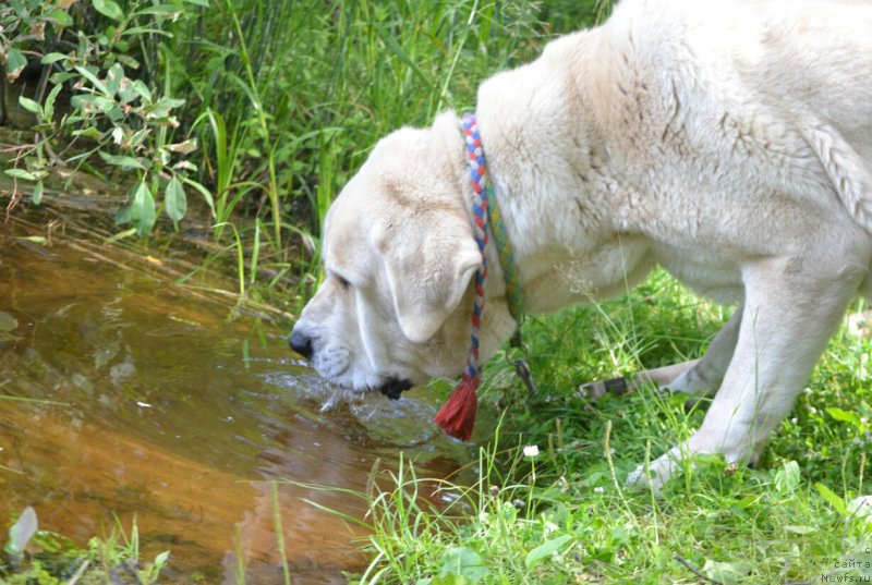 Фотография № 186763