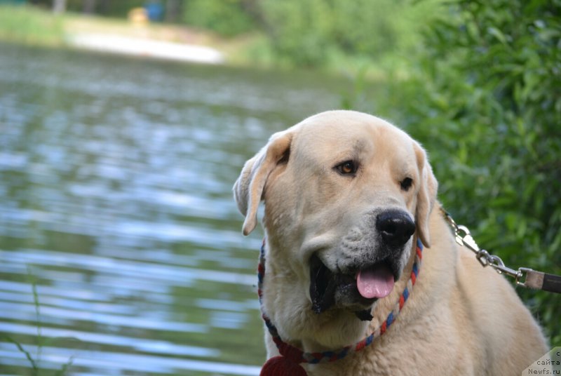 Фотография № 186764