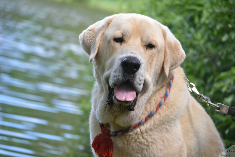 Фотография № 186765