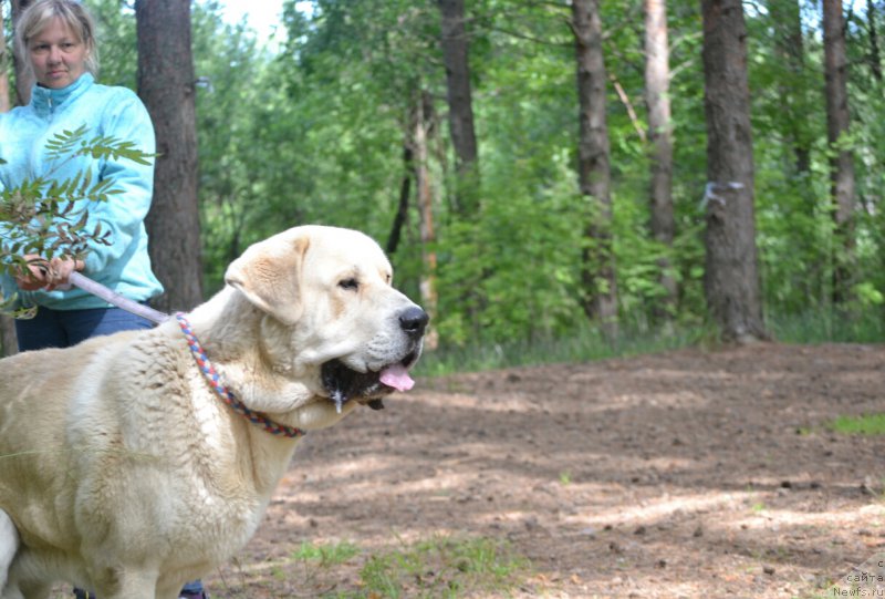 Фотография № 186766