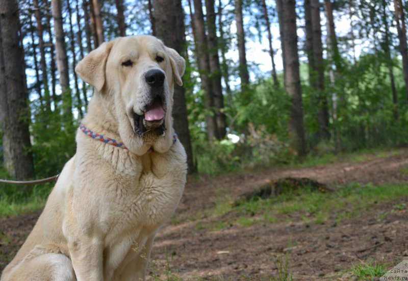 Фотография № 186767