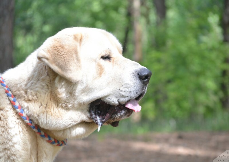 Фото: Лена Зырина