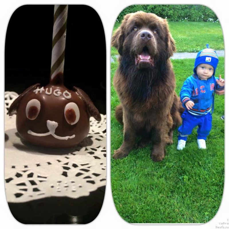 Фотография № 186772