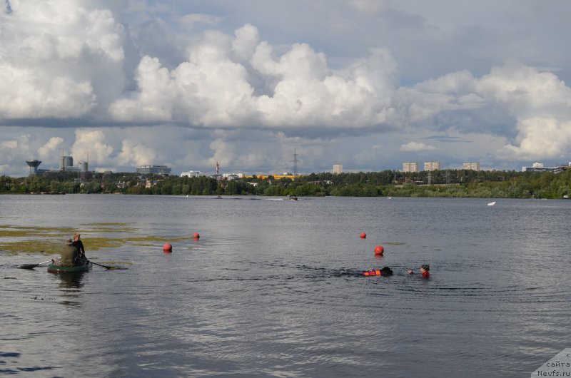 Фотография № 186799