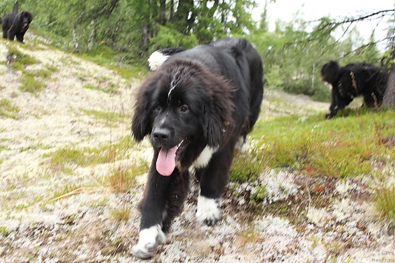 Фотография № 186807