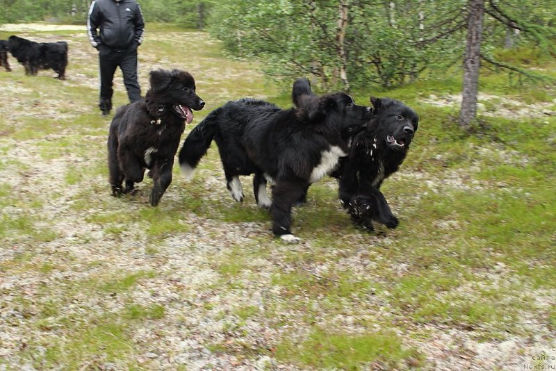 Фотография № 186808