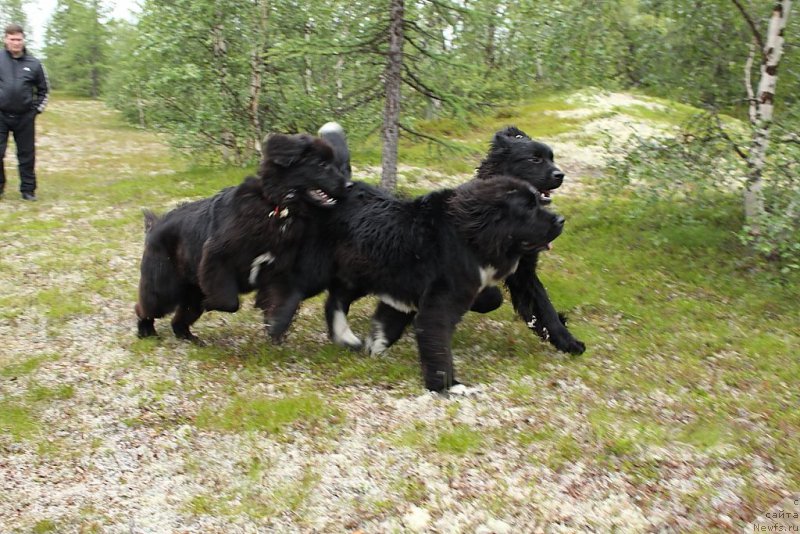 Фотография № 186809