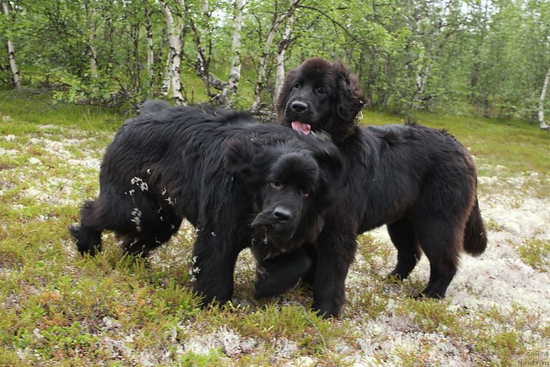 Фотография № 186810