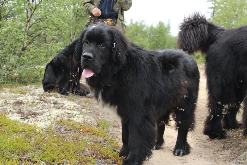 Фотография № 186812