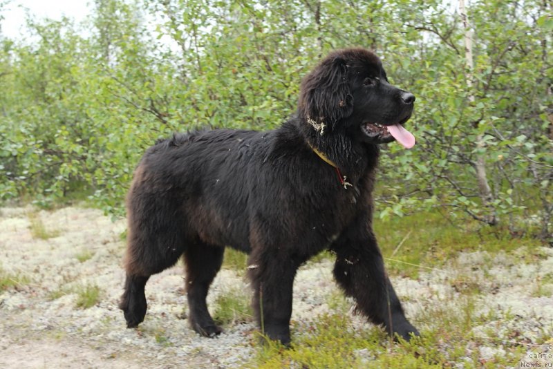 Фотография № 186814