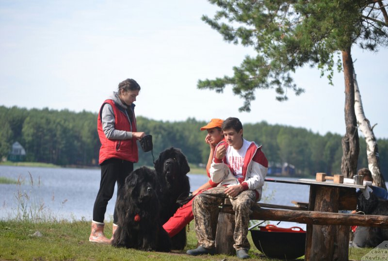 Фотография № 186819