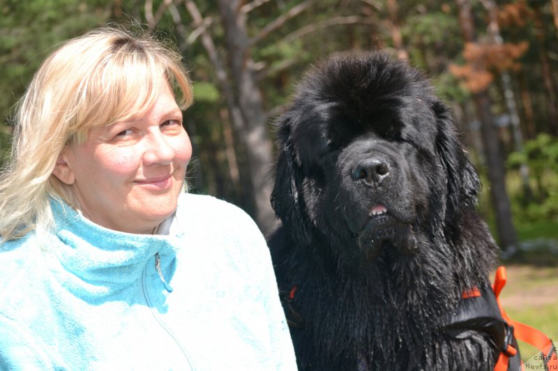 Фотография № 186822