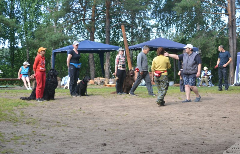 Фотография № 186824