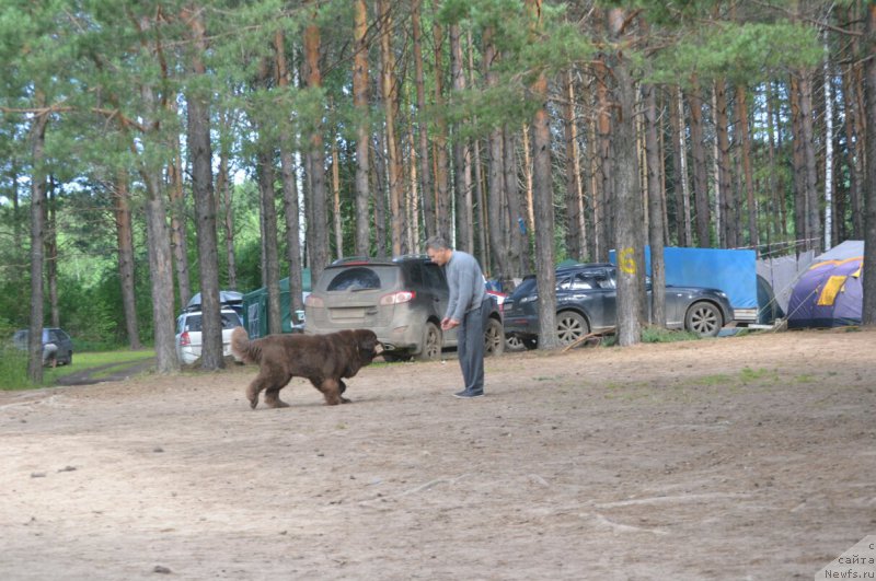 Фотография № 186825