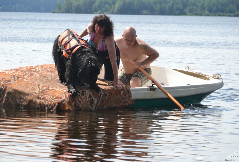 Фотография № 186829