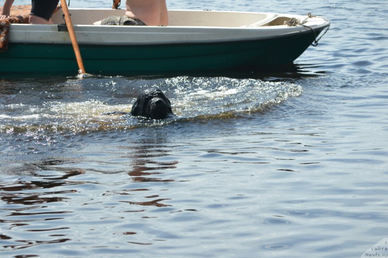 Фотография № 186830