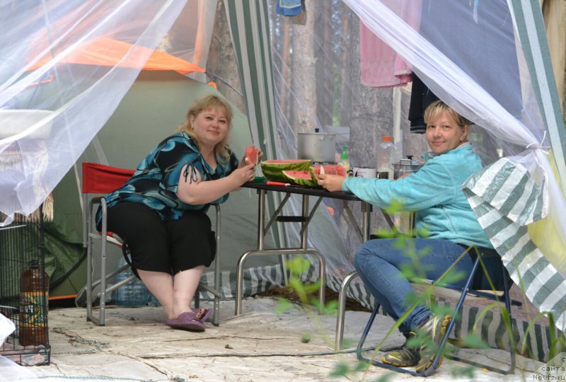 Фотография № 186831