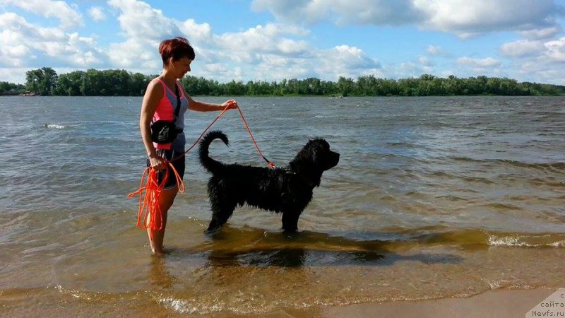 Фотография № 186832