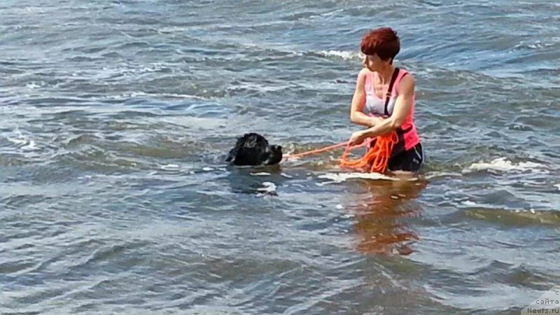 Фотография № 186833