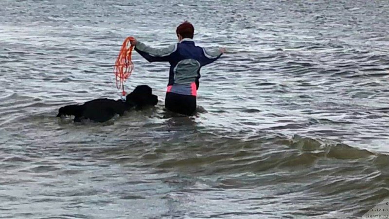 Фотография № 186834