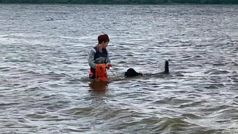 Фотография № 186835