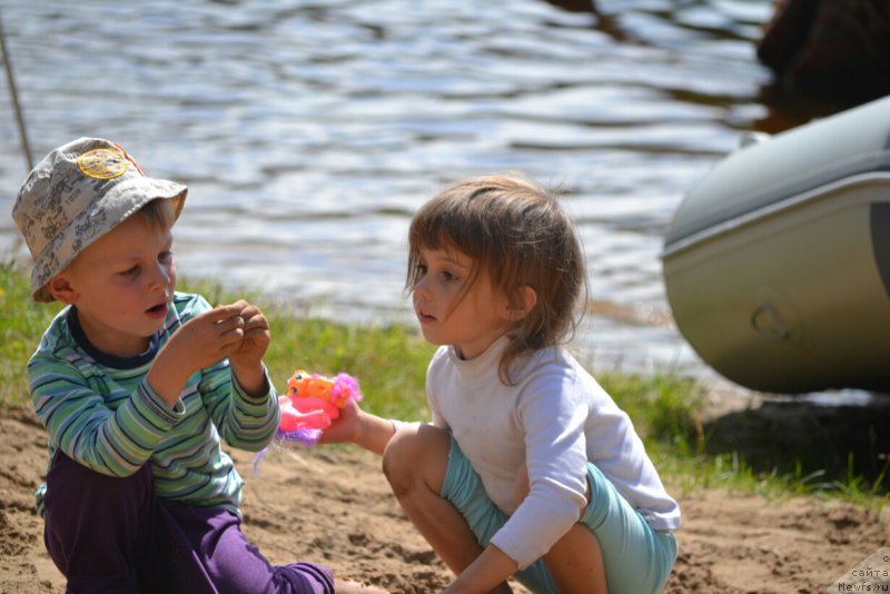 Фотография № 186840