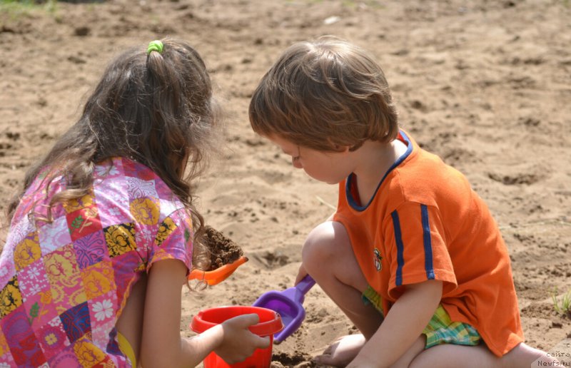 Фотография № 186842