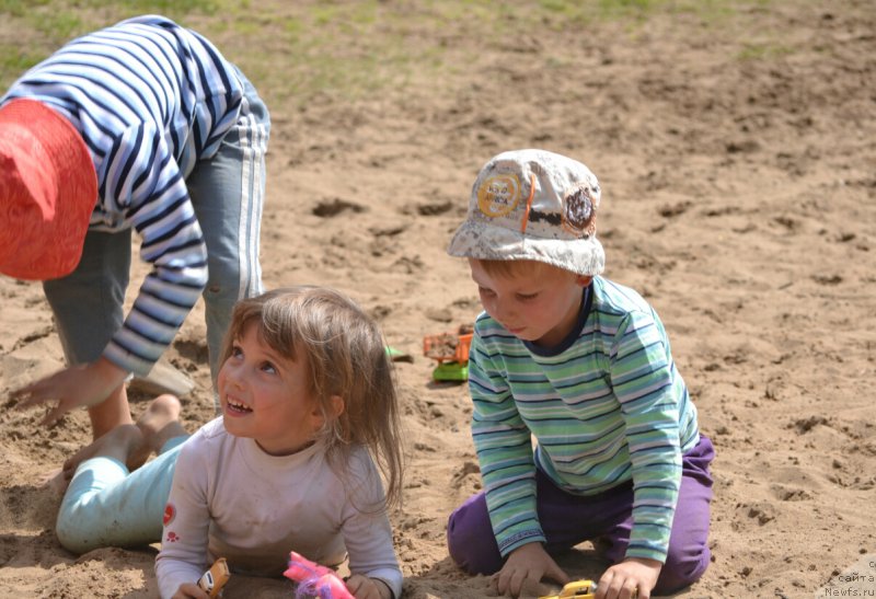 Фотография № 186843