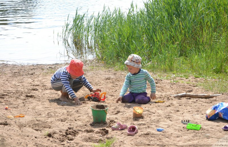 Фотография № 186847