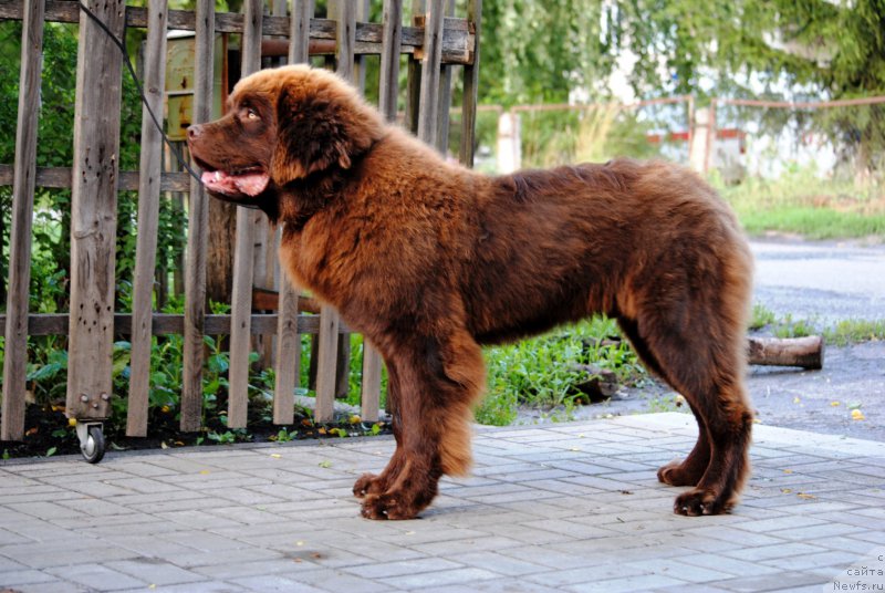 Фотография № 186889