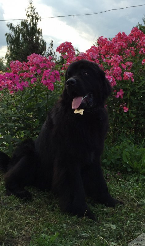 Фотография № 186901