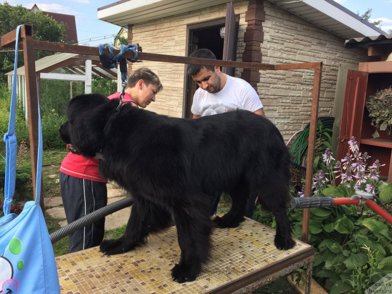 Фотография № 186902